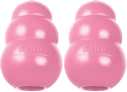 KONG - Puppy Toy Natural Teething Rubber - Fun to Chew, Chase and Fetch - by KONG
