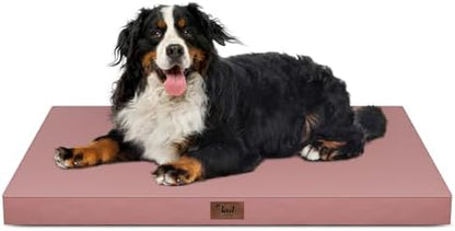 Outdoor Extra Large Dog Bed XXL by TailStories