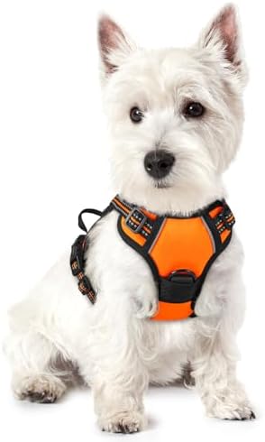 rabbitgoo Dog Harness No Pull by rabbitgoo