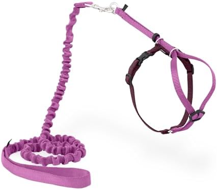 PetSafe Come with Me Kitty Harness and Bungee Cat Leash, Dusty Rose by PetSafe