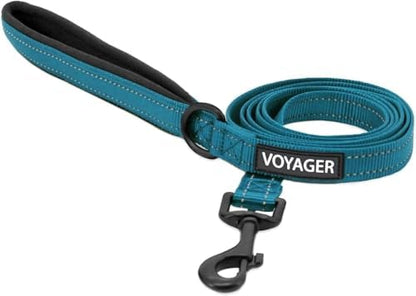 Best Pet Supplies Voyager Nylon Dog Leash by BestPetSuppliesLLC