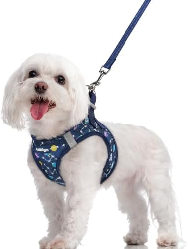 rabbitgoo Dog Harness Medium Sized and Leash Set, Step-in Puppy Pet Vest by rabbitgoo
