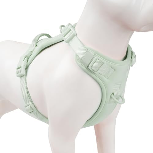 Sunraymascota No Pull Dog Harness by Sunraymascota