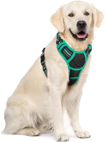 rabbitgoo Dog Harness, No Pull for Large Dogs by rabbitgoo