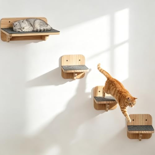 Cat Wall Shelves by TRSPCWR