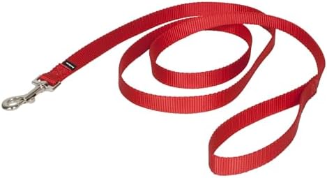 PetSafe Nylon Dog Leash, 3/4 in x 6 ft by PetSafe