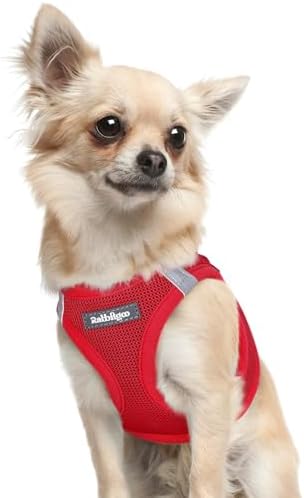 rabbitgoo Step-in Small Dog Harness, Puppy Vest by rabbitgoo