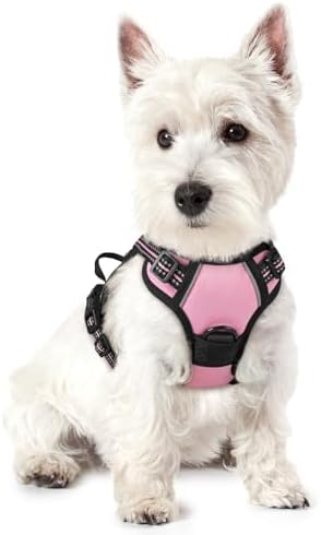 rabbitgoo Dog Harness No Pull by rabbitgoo