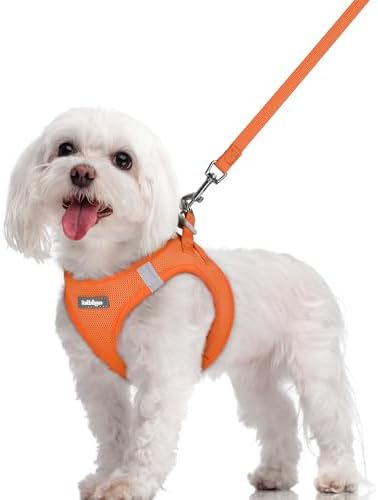 rabbitgoo Dog Harness Medium Sized and Leash Set, Step-in Puppy Pet Vest by rabbitgoo