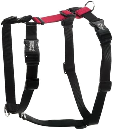 Blue-9 Balance Harness® for Dogs, Buckle-Neck by Blue-9