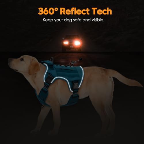 Heavy-Duty Tactical Dog Harness - Image 5