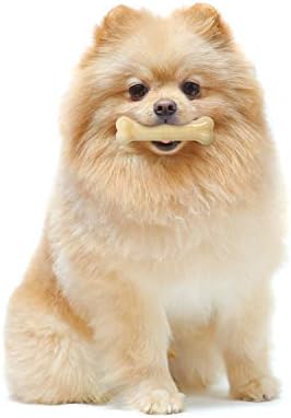 Nylabone Power Chew Original Bone Dog Chew Toy, Original Flavor - Image 2