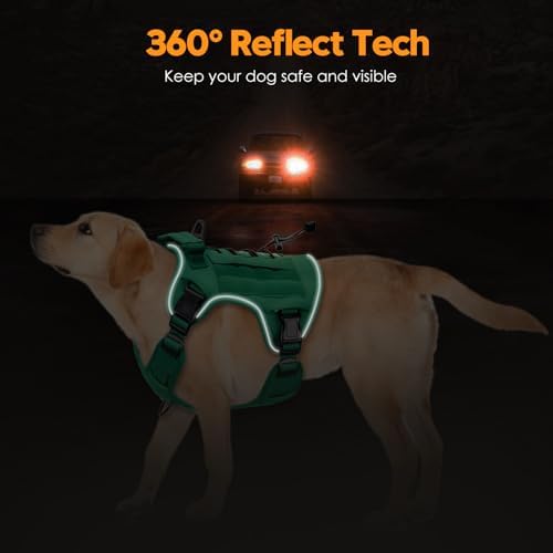 Heavy-Duty Tactical Dog Harness - Image 5