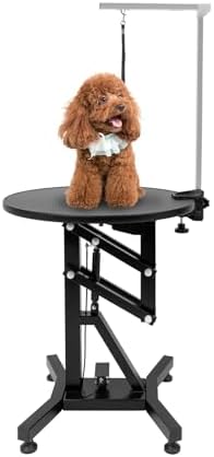 Professional Electric Lift Pet Grooming Table by Unknown