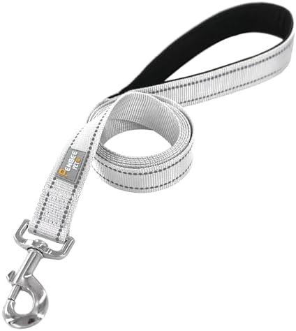 6 FT Basic Dog Leash for Large Dogs - Image 2