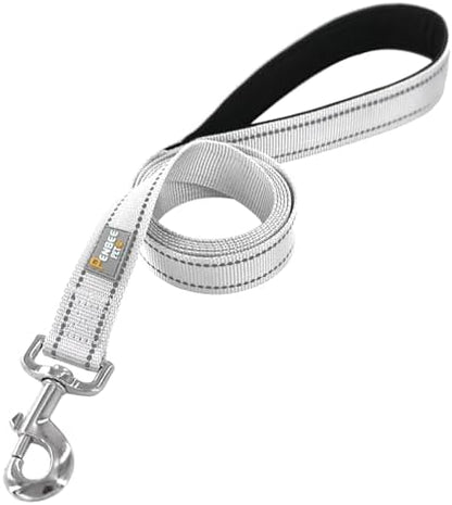 6 FT Basic Dog Leash for Large Dogs - Image 2