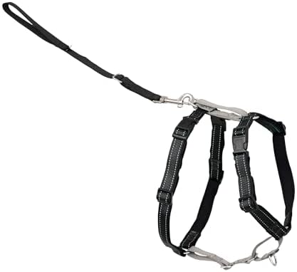 PetSafe 3 in 1 No-Pull Dog Harness by PetSafe