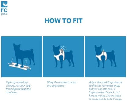 RC Pets Step in Cirque Harness XXS Azalea - Image 3