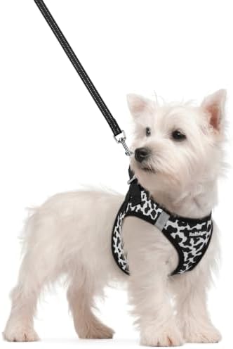 rabbitgoo Dog Harness Small Sized and Leash Set, Step-in Puppy Pet Vest by rabbitgoo