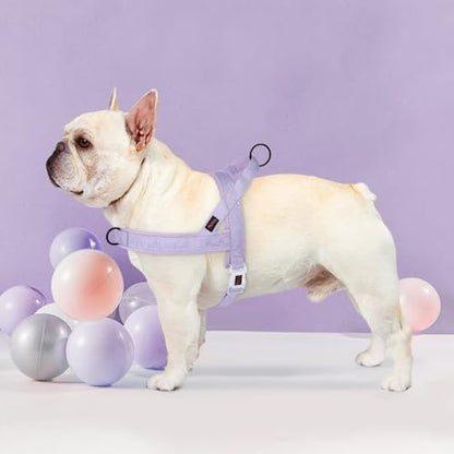 Didog No Pull Dog Harness with Breathable Mesh Padded, Quick Fit & Easy on Dog - Image 2