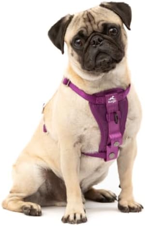Kurgo Enhanced Strength Tru-Fit Smart Harness, Deep Violet - Image 3