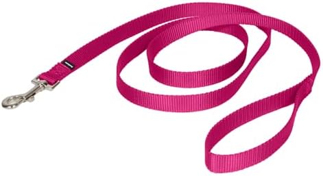 PetSafe Nylon Dog Leash by PetSafe