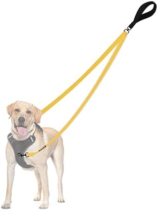 PetBonus Two Point Control Dog Leash, No Tangle Training Walking Leashes by Petbonus