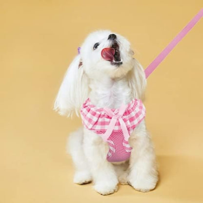 EXPAWLORER Step-in Dog Harness Small Sized and Leash Set - Image 7