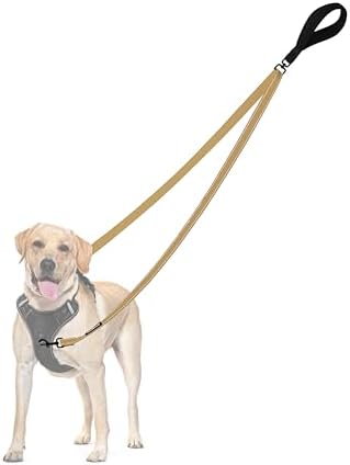 PetBonus Two Point Control Dog Leash, No Tangle Training Walking Leashes by Petbonus