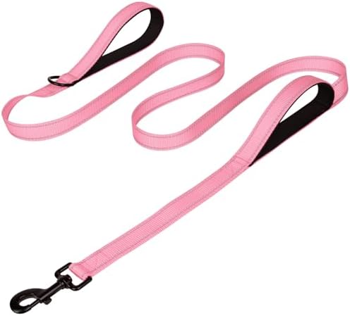 Joytale Dog Leash for Large Dogs that Pull, Double Handle by Joytale