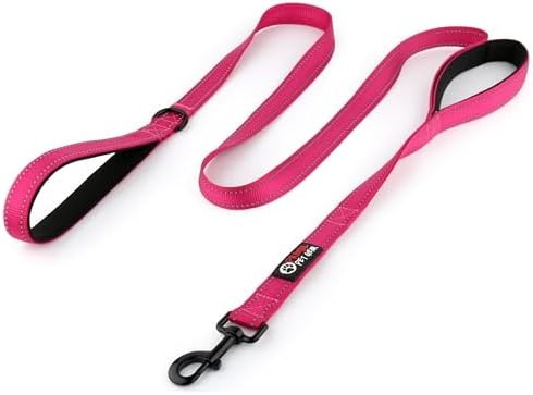 Primal Pet Gear Dog Leash 6ft Long, Traffic Padded Two Handle, Heavy Duty by PrimalPetGear