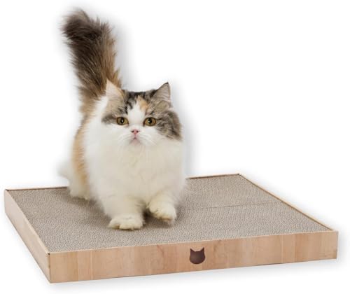 Necoichi Cardboard Cat Scratcher Bed by %E7%8C%AB%E5%A3%B1