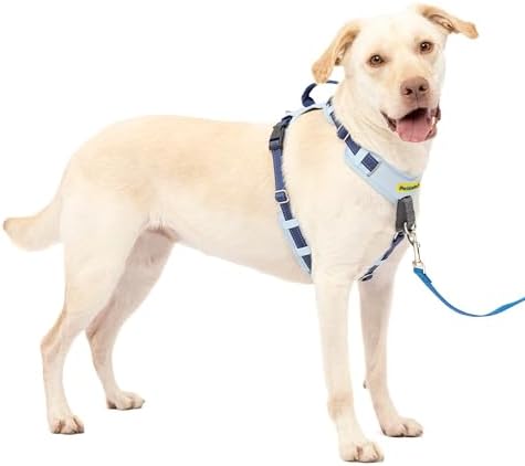PetSafe Easy Walk Comfort No Pull Dog Harness by PetSafe