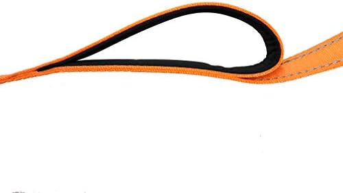 Primal Pet Gear Dog Leash 6ft Long, Traffic Padded Two Handle, Heavy Duty - Image 6
