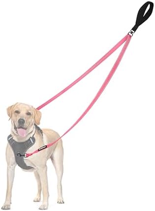 PetBonus Two Point Control Dog Leash, No Tangle Training Walking Leashes by Petbonus
