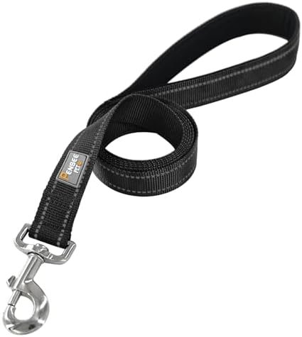6 FT Basic Dog Leash for Medium Dogs - Image 2