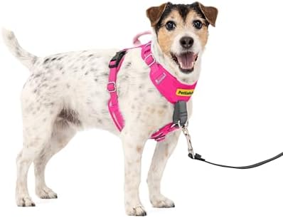 PetSafe Easy Walk Comfort No Pull Dog Harness by PetSafe