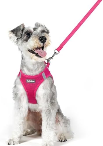 rabbitgoo Dog Harness Medium Sized and Leash Set, Step-in Puppy Pet Vest by rabbitgoo