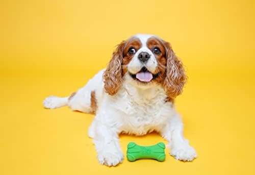 Hartz DuraPlay Bone Squeaky Latex Dog Toy - Image 4