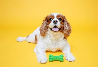 Hartz DuraPlay Bone Squeaky Latex Dog Toy - Image 4