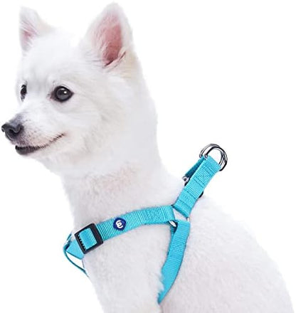 Blueberry Pet Essentials Step-in Dog Harness, Small Size | Adjustable Turquoise by BlueberryPet