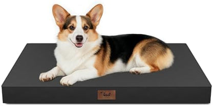 Outdoor Waterproof Orthopedic Dog Bed by TailStories