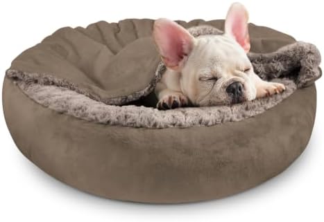 JOEJOY Small Dog Bed Cat Bed by JOEJOY