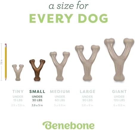 Benebone 2-Pack Wishbone Chew Toy - Image 4