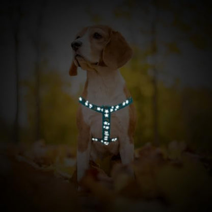 PUPTECK No Pull Dog Harness Small Sized Step-in Adjustable Puppy Vest - Image 6