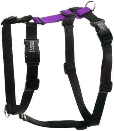 Blue-9 Balance Harness® for Dogs, Buckle-Neck by Blue-9