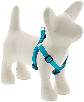 Lupine Extra Small Adjustable Step in Dog Harness 1/2" Wide Aqua by LupinePet