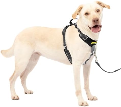 PetSafe Easy Walk Comfort No Pull Dog Harness by PetSafe