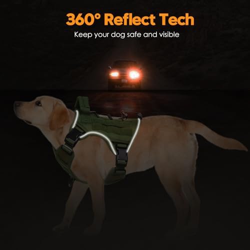 Heavy-Duty Tactical Dog Harness - Image 5