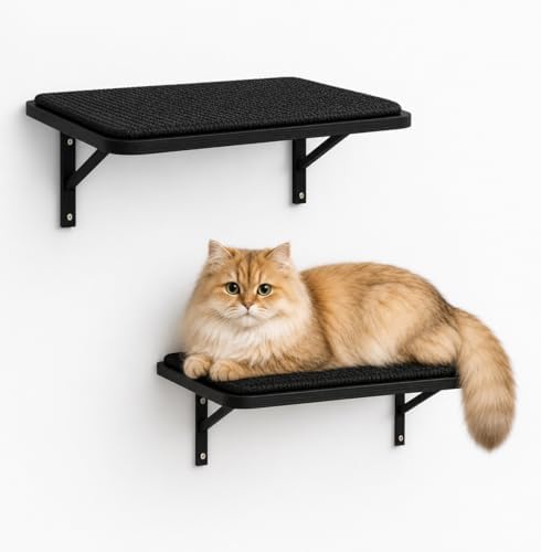 Cat Wall Shelves Set of 2 - Image 6